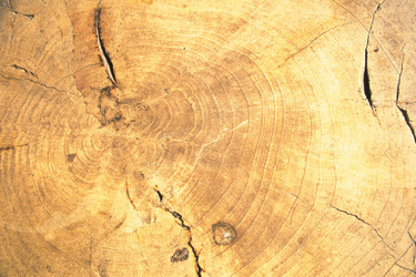 Similar image 8097752