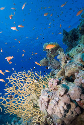 Similar image 8097754