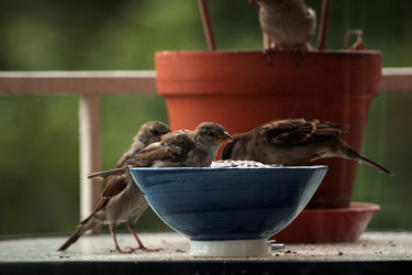 Similar image 8097757