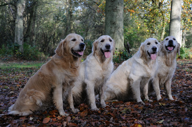 Similar image 8097759