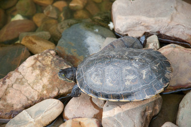 Similar image 8097768