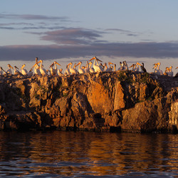 Similar image 8097771