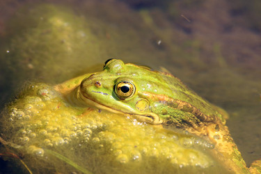 Similar image 8097788