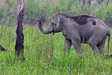 Similar image 8097794