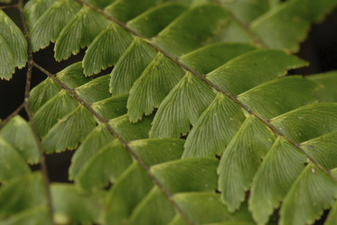 Similar image 8097797