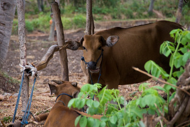 Similar image 8097803