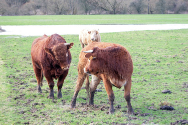 Similar image 8097806