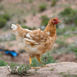 Similar image 8097813