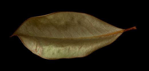 Similar image 8097815