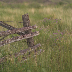 Similar image 8097822