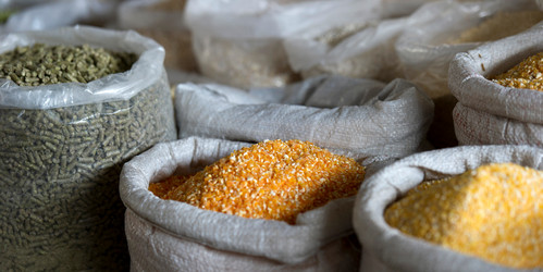 Similar image 8097827