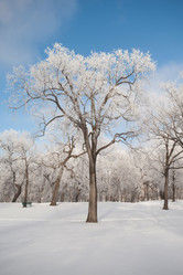 Similar image 8097830