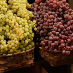 Similar image 8097833