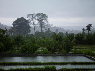 Similar image 8097837