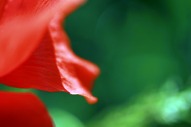 Similar image 8097842