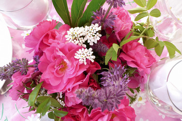 Similar image 8097844