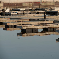 Similar image 8097845