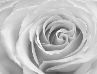 Similar image 8097852