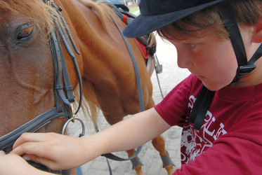 Similar image 8097854