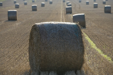 Similar image 8097856