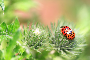 Similar image 8097857