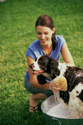 Similar image 8097860