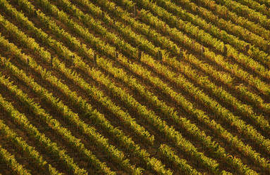 Similar image 8097862