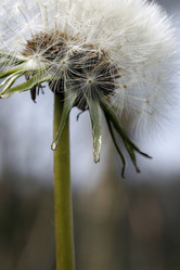 Similar image 8097867