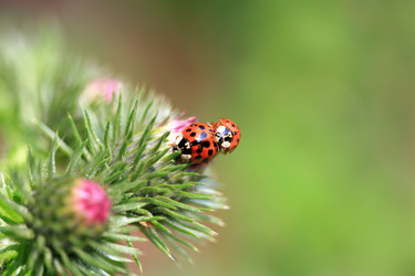 Similar image 8097871