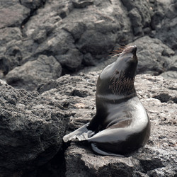 Similar image 8097880