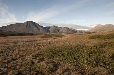 Similar image 8097884