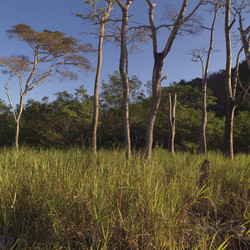 Similar image 8097895