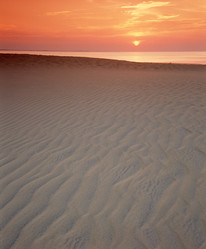 Similar image 8097897