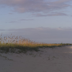 Similar image 8097906