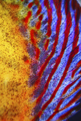 Similar image 8097908