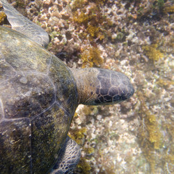 Similar image 8097912