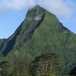 Similar image 8097931