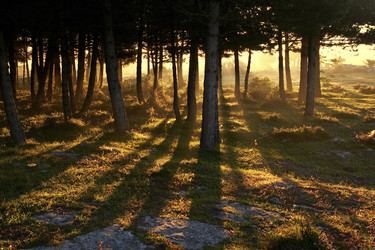 Similar image 8097939