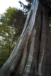 Similar image 8097944