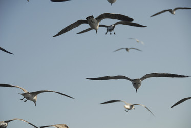 Similar image 8097948