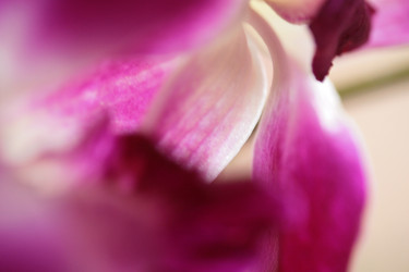 Similar image 8097949