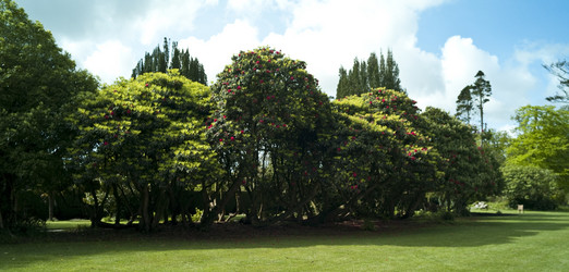 Similar image 8097950