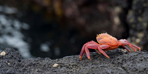 Similar image 8097954