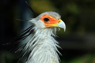 Similar image 8097957