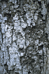 Similar image 8097959