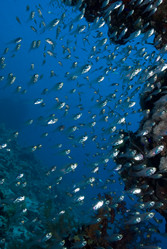 Similar image 8097961