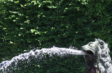 Similar image 8097966