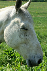 Similar image 8097967