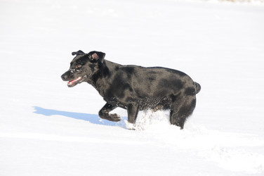 Similar image 8097968