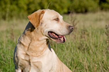 Similar image 8097970